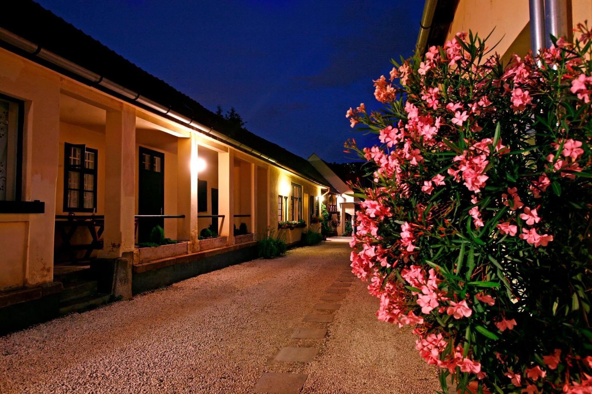 Keszi Panzió Hotel Budakeszi Exterior foto